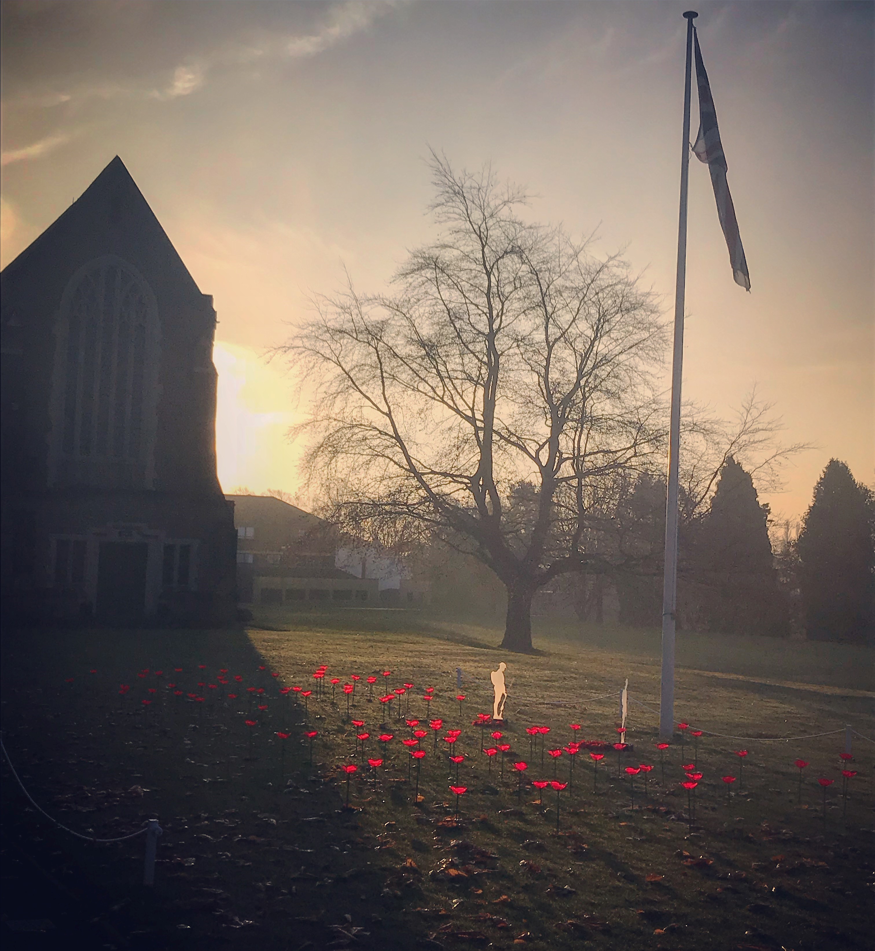 Our field of Poppies for Remembrance Week 2018