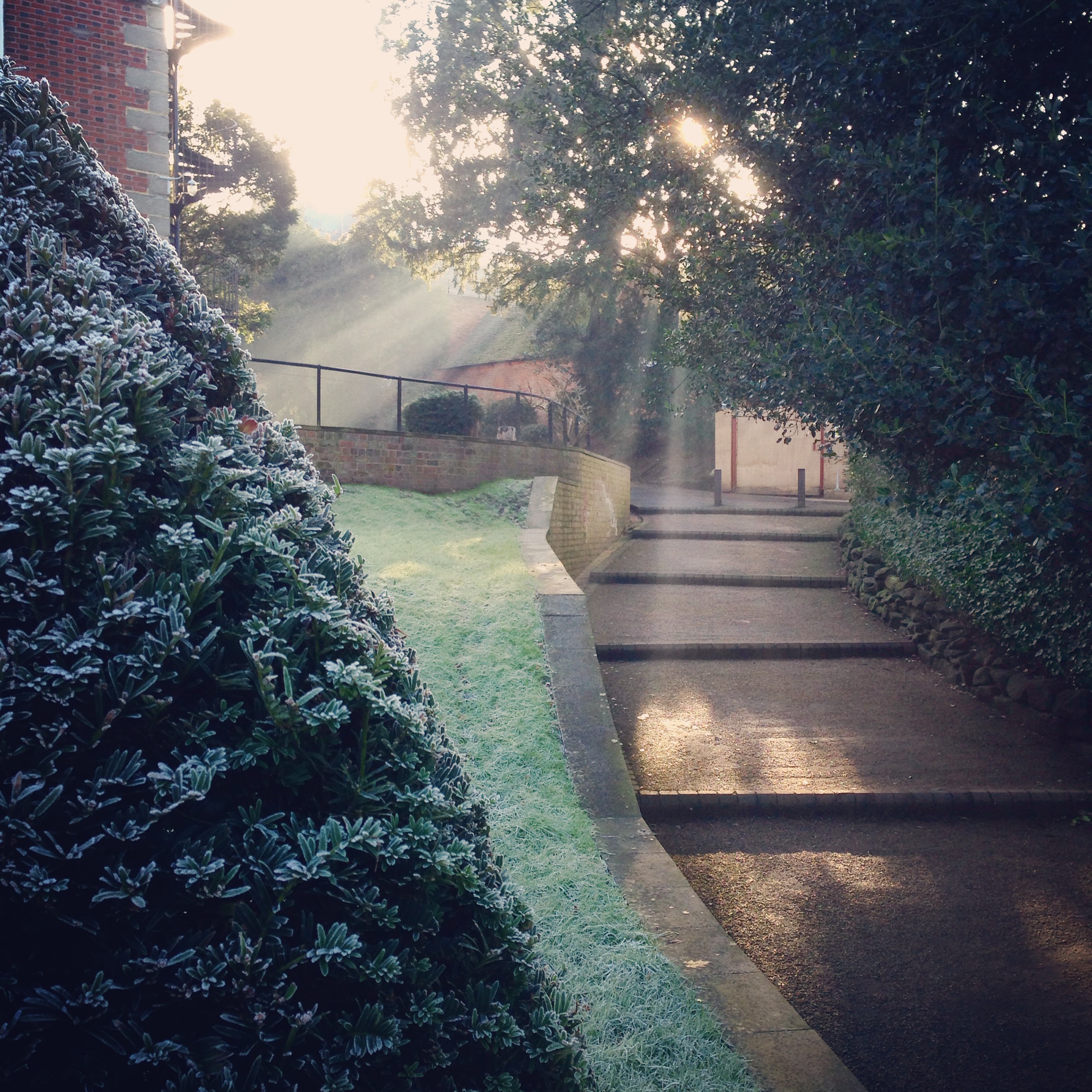 A frosty morning at Bromsgrove School
